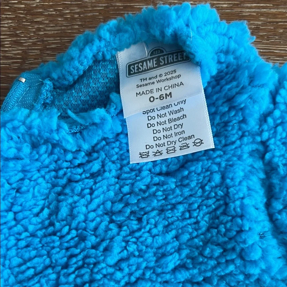 Sesame Street Cookie Monster costume